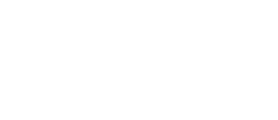 SW DANCE ACADEMY Logo
